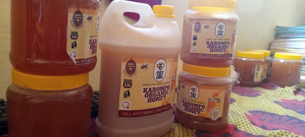 About Save the Bees Zambia